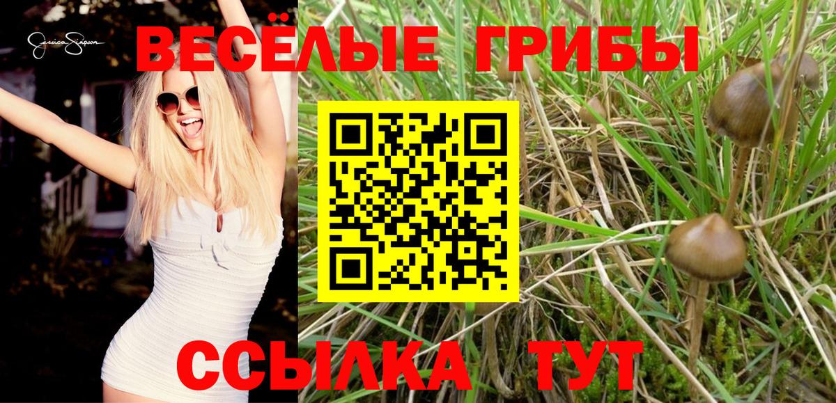 Анжеро-Судженск  Псилоцибиновые грибы мухоморы  Вход с VPN 